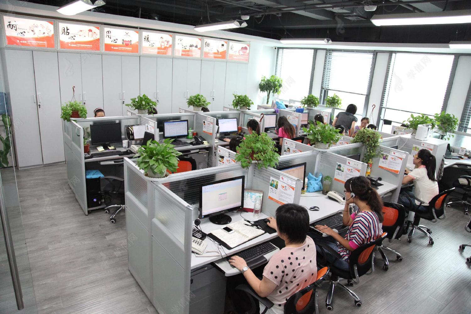 信息技术(IT)项目经理