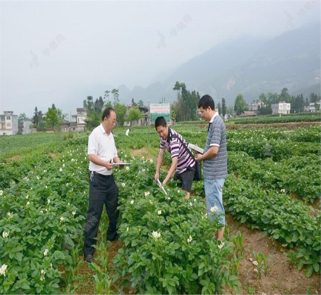 遗传育种栽培技术人员