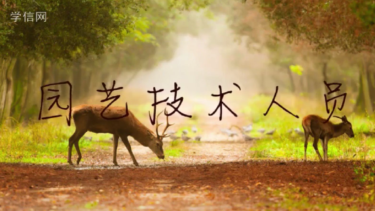 园艺技术人员