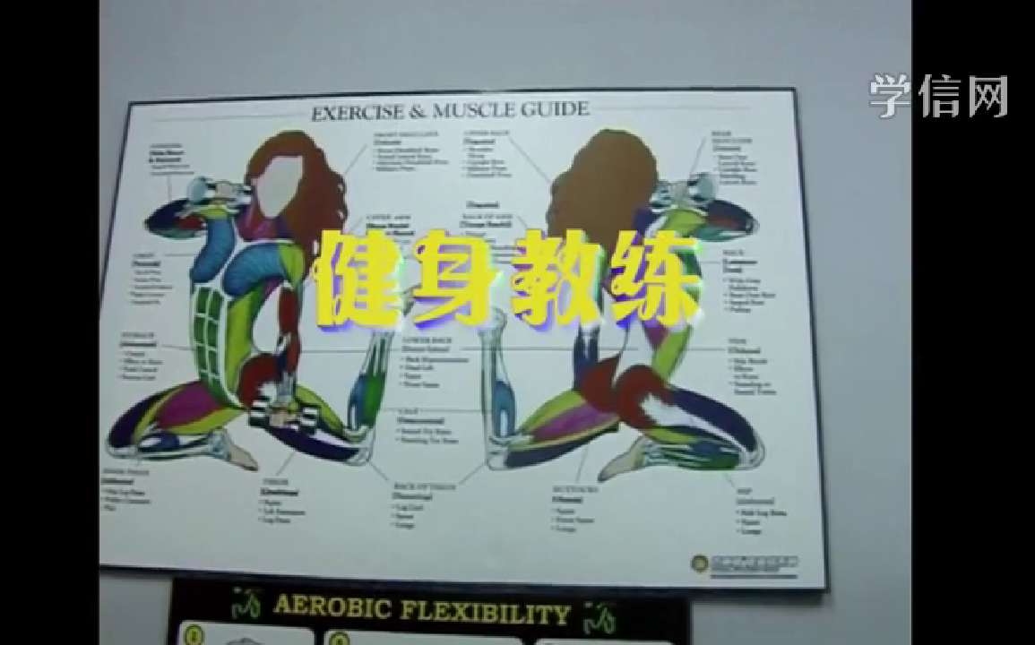 健身教练