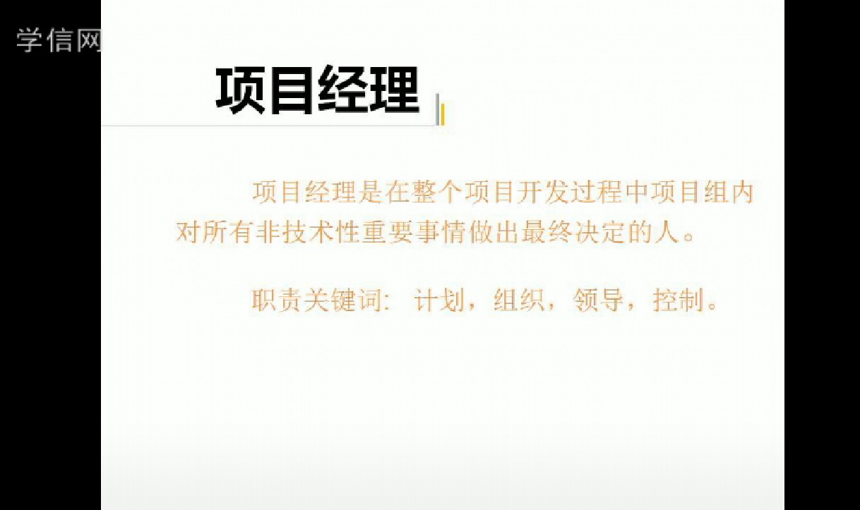 信息技术（IT）项目经理